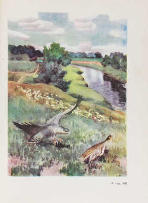 Бианки В.В. Рассказы и сказки / Вступ. ст. Г. Гроденского; ил. В. Курдов и др. М.; Л.:  Детгиз, 1954.